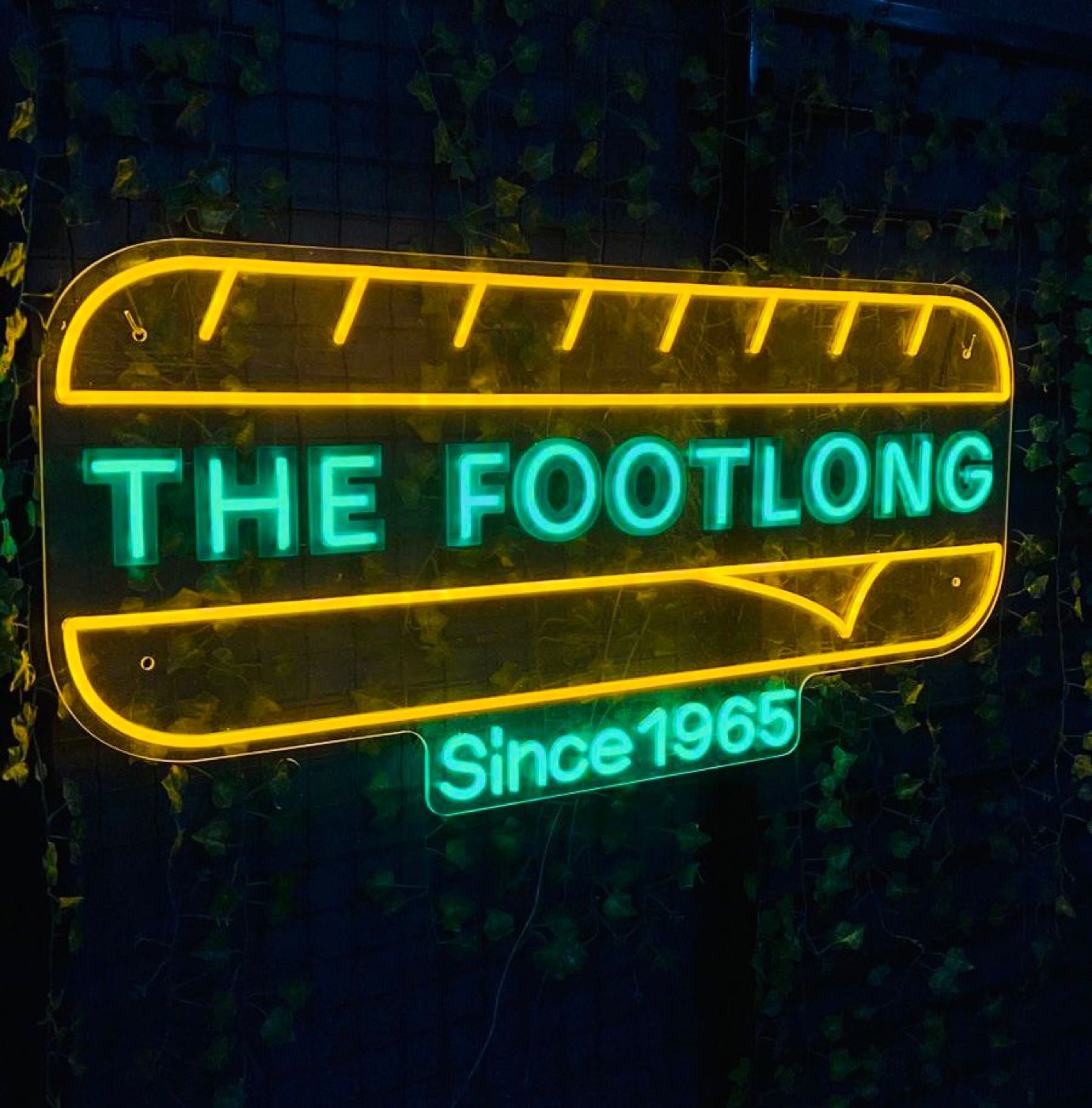 Letreiro em neon LED colorido The Footlong
